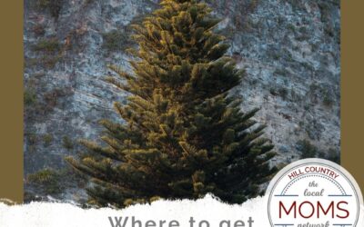 Where to Get Christmas Trees Locally