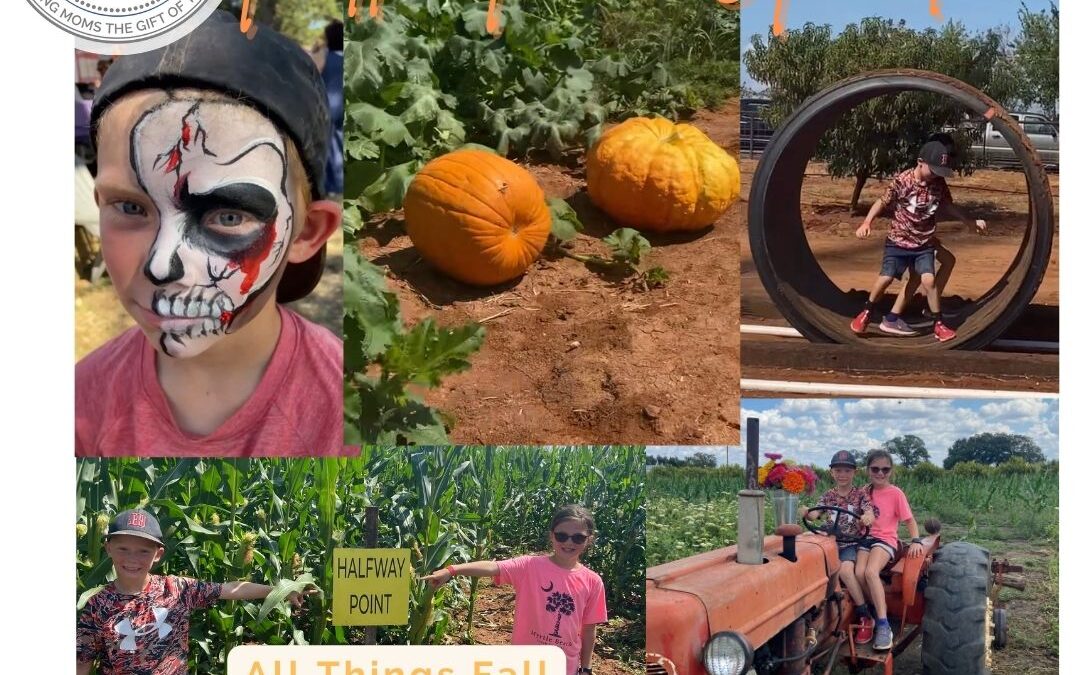 Texas Hill Country’s Fall Fun Guide