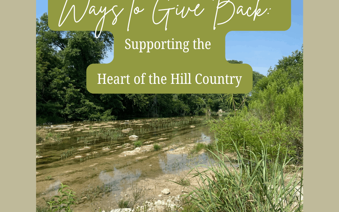 Ways to Give Back: Supporting the Heart of the Hill Country